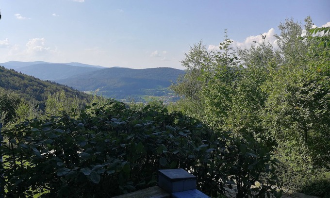 Schofweg Apartment | Blick zum Lallinger Winkel