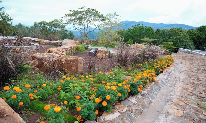 Sirumalai Resort | BlueHill Lotus Holistic Wellness Village