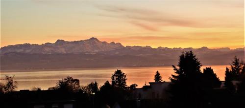 Waggershausen Apartment | BodenSEE Apartment Friedrichshafen "DACHTERRASSE"