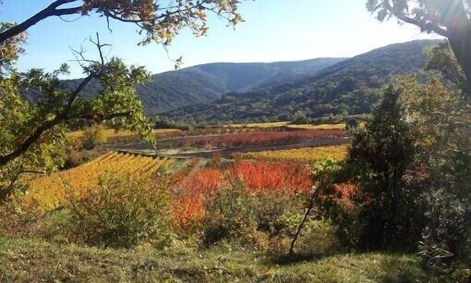 Methamis Other | Brand new gite in an authentic Provencal Mas, in south Ventoux