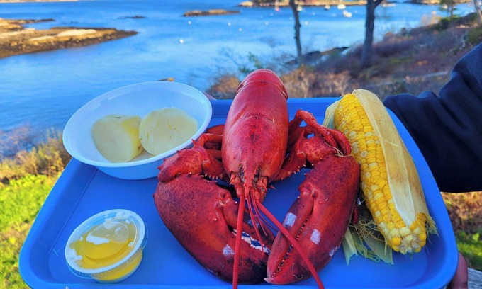 Five Islands House | Breathtaking Oceanfront Views, Private Dock & Osprey Nest at Merwick Cottage