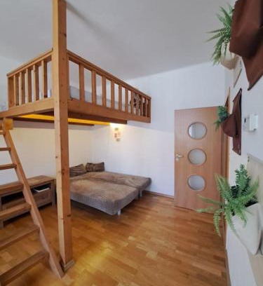 Ceske Budejovice Apartment | Byt u centra