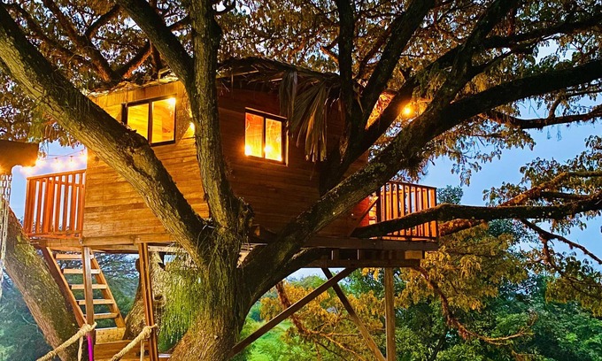 El Cerrito Cottage | Cabaña en un árbol en Santa Elena