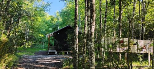 Curacautin House | Cabaña Ruka trinar