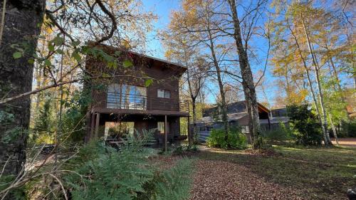 Pucon House | Cabañas Alto Bosque