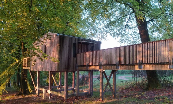 Noues de Sienne Hotel | CABANE DANS LES ARBRES (4m) & SPA privatif 4/5 pers adapted PMR