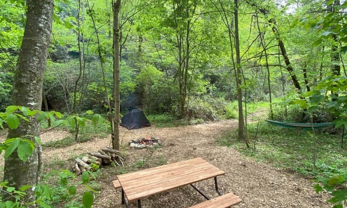 Zirconia RV Rental | Campsite 2 - Creekside on 38 acres- biking and hiking trails