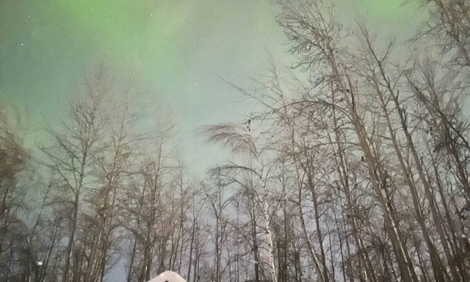 North Pole Cabin | Caribou Cabin in North Pole, Alaska