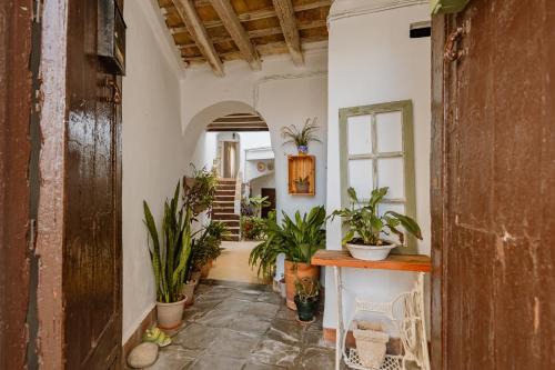 San Ambrosio Apartment | Casa Bodega Triana
