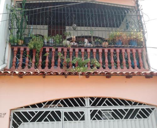 Condor House | Casa centro Cop 30