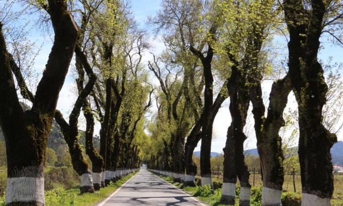 Portagem Villa | Casa da Portagem Marvão: Luxo e Conforto no Coração do Alentejo