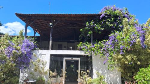 Eldorado House | Casa Darwin