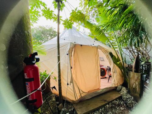 Homestead Other | Casa de Campaña en la Pequeña Selva by Legnalife