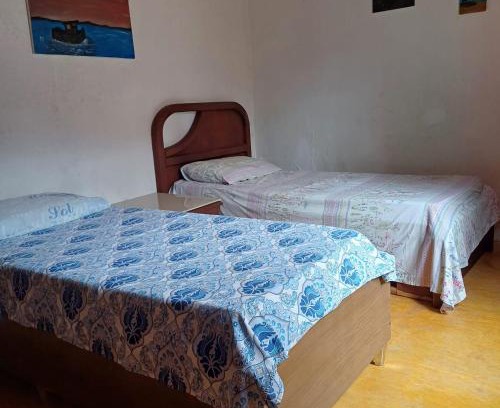 Sao Pedro da Serra House | Casa do alecrim