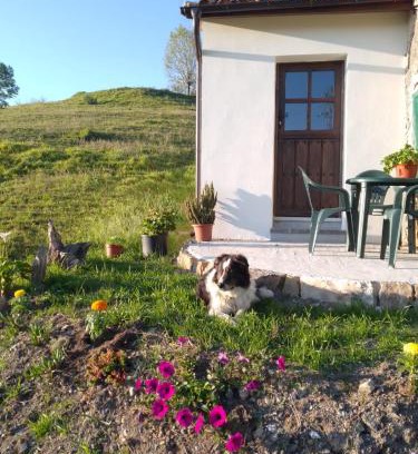 Llerandi House | Casa El Collau I