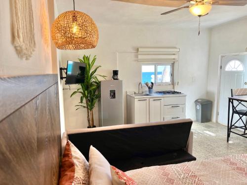 San Jose del Cabo Apartment | Casa Estrella Azul