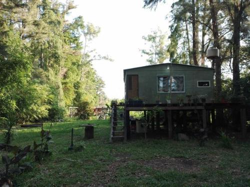 Partido de Tigre House | Casa isleña con bajada al río, plena naturaleza