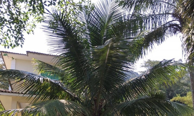Conceicao de Jacarei House | Casa Luxuosa in front of the big island In a gated community with a pier