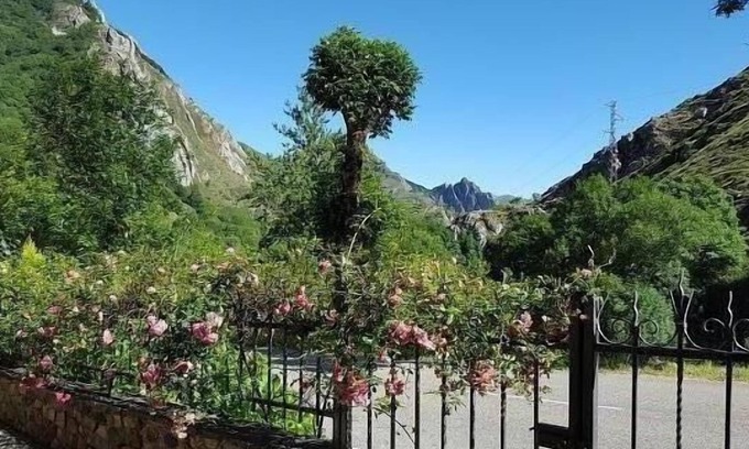 Caunedo Cottage | Casa Modesta Apartments for 4 people