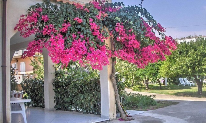 Marina di Ascea House | Casa Rosina: A welcoming apartment that is part of a villa situated at a short distance from the beach, with Free WI-FI.