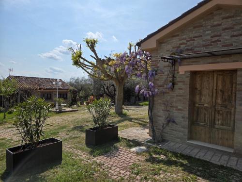 Sant'Elpidio a Mare Apartment | Casa Sabbatini