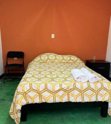 Oaxaca House | Casa tulipán