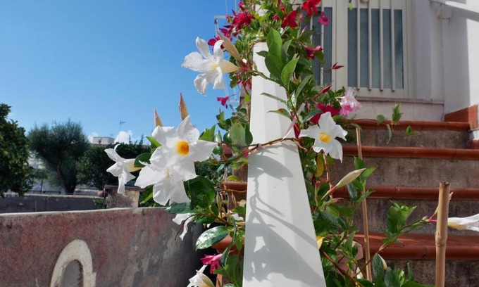 Anacapri House | Casa Vacanza Anacapri Sunrise
