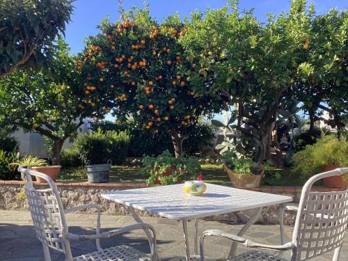 Anacapri Bed & Breakfast | Casetta Minghitto Relaxing rooms in Capri