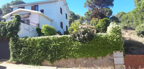San Martin de Valdeiglesias House | Casita San Martín