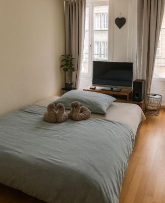 Fribourg Apartment | Central & cosy next to cathedral