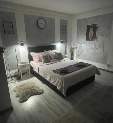 Hunedoara Apartment | central studio LCS