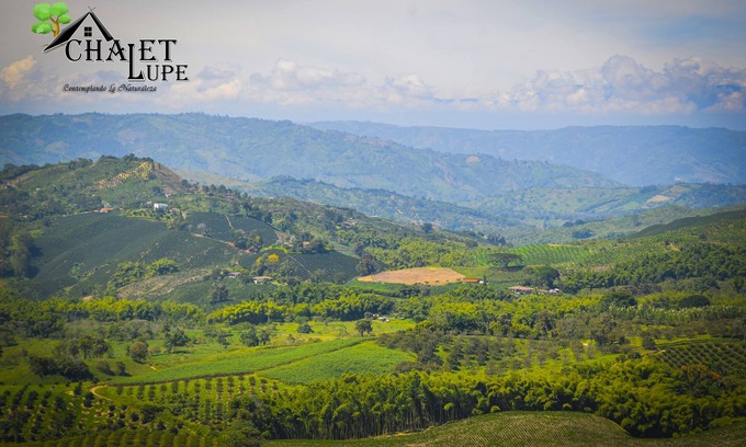 Palestina Ski Chalet | Chalet Lupe un Lugar Perfecto Para tus Descansos,con Diseños en Bambú y Madera