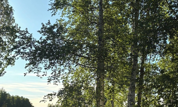 Knik-Fairview House | Charming 1bfd 1bth apartment in a custom home on golf course! Play for free!