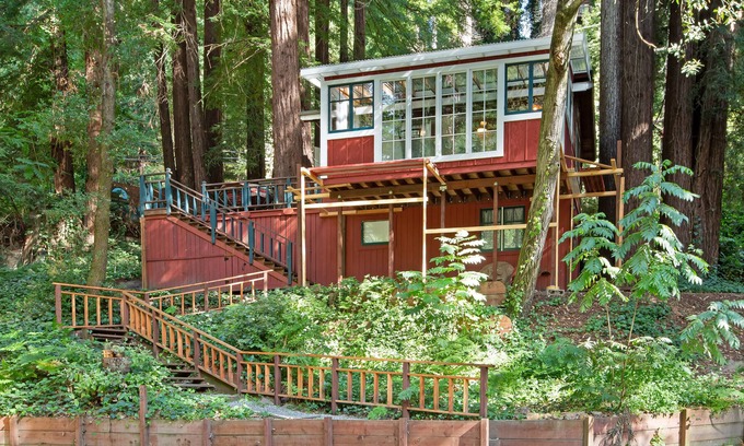 Mount Hermon Cabin | Charming & colorful cabin with a furnished deck & forest views - dog-friendly