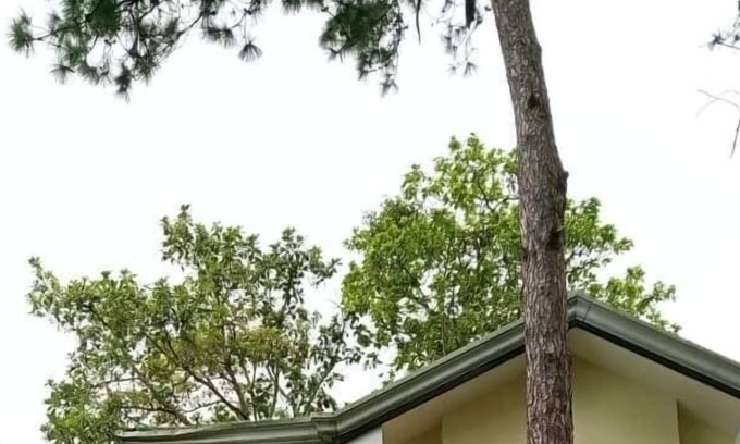 Baguio House | Charming Getaway @ The City of Pines