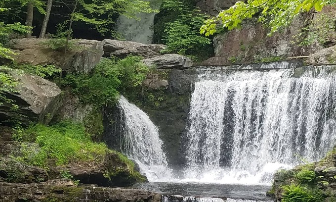 Analomink Cottage | Charming Private Lakefront Cottage Perfect setting on your Pocono getaway.