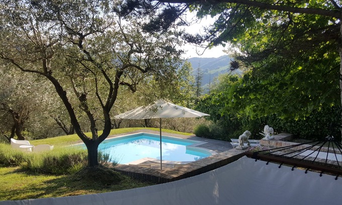 Voltre House | Charming vacation home with pool, sun deck and olive grove