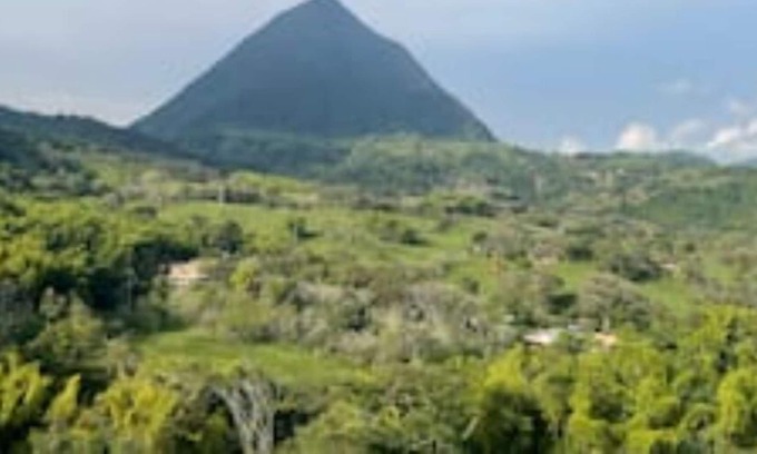 Venecia House | Cheerful cottage with pool