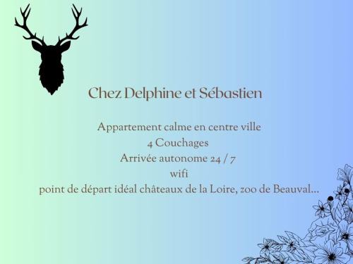 Romorantin-Lanthenay Apartment | Chez Delphine et Sébastien