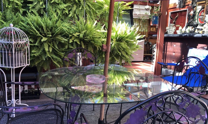 Burnside House | City Centre Secret Surprise. As low as $150.00 nite. Avail immediately