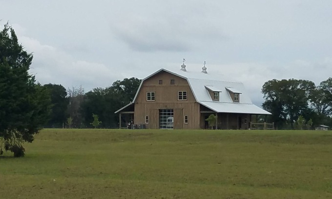 Round Top Other | Classy Cattle Farm Experience-Wine and Bovine