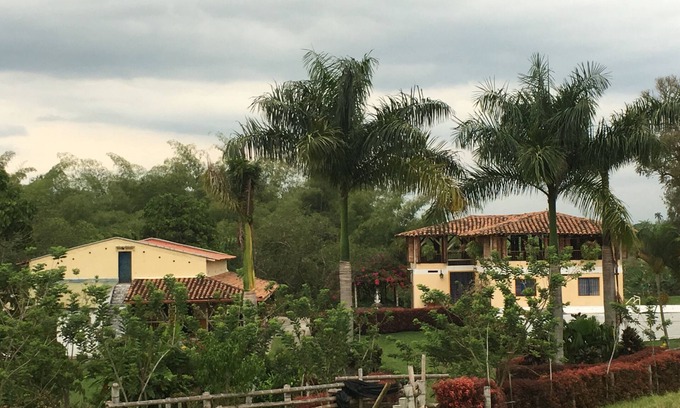 Montenegro Other | Coffee Farm