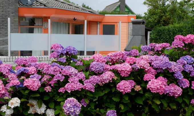 Julianadorp aan zee House | Comfortable,1 level vacation home on North Sea coast, only 300 m from the beach