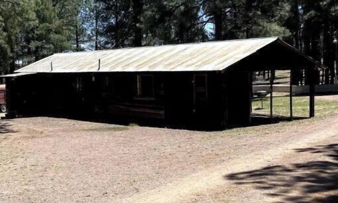 Alpine Cabin | Comfy Cozy Cabin in the tall pines of Alpine AZ #1