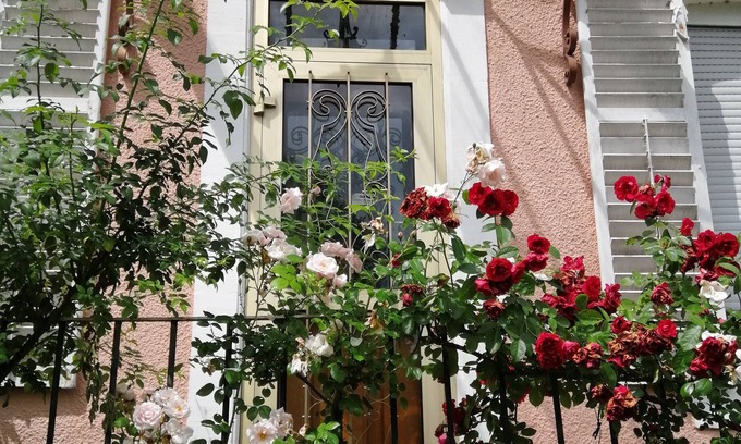 Contrexeville Bed & Breakfast | Contrex thermal studio