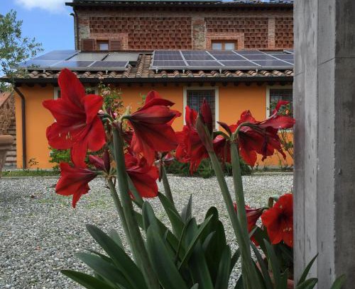 Capannori Bed & Breakfast | Corte Capitani