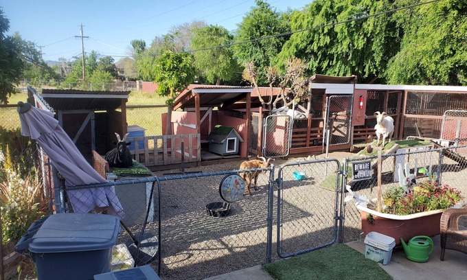 Livermore Bed & Breakfast | Country 2-bedroom bed & breakfast/ebikes in delightful Livermore Wine Country
