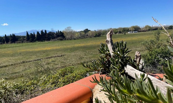 Argeles-sur-Mer Apartment | Cozy 1BR Apartment Near Beach, Sleeps 4, Terrace, Private Parking, Pet-Friendly