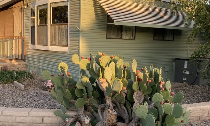 Yuma Cottage | Cozy cottage in premier active 55+ resort.