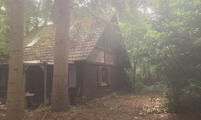 Sandhatten Cabin | Cozy hut on an idyllic forest property